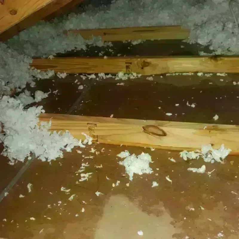 Attic Water Damage in Benton County, MS